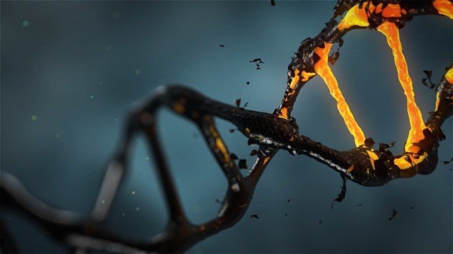 Спайк SARS-CoV-2 нарушает восстановление повреждений ДНК